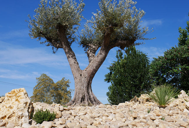 Entreprise de jardinier paysagiste à Tarbes