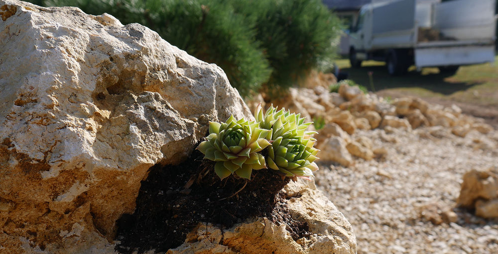 Valeurs - Hortus Espaces Verts